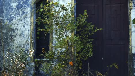 old religious convent door in the middle of the forest