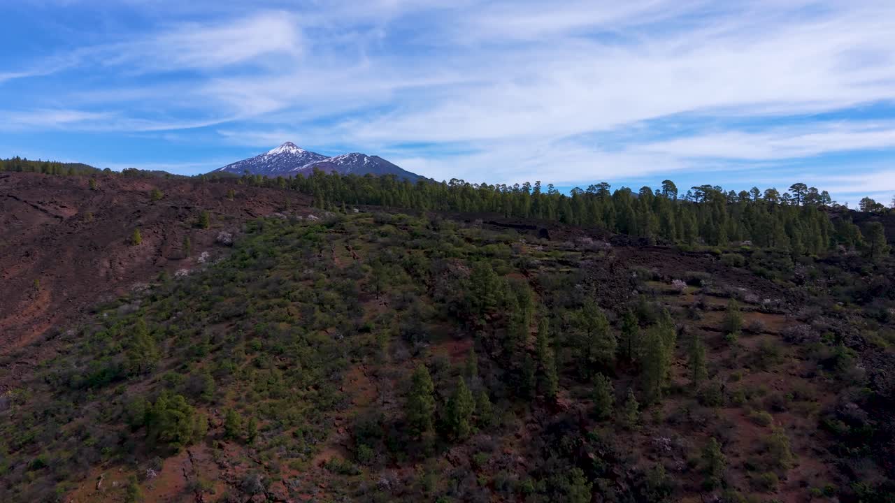 Vista del vulcano Teide con lava nelle Isole Canarie, paesaggio sereno