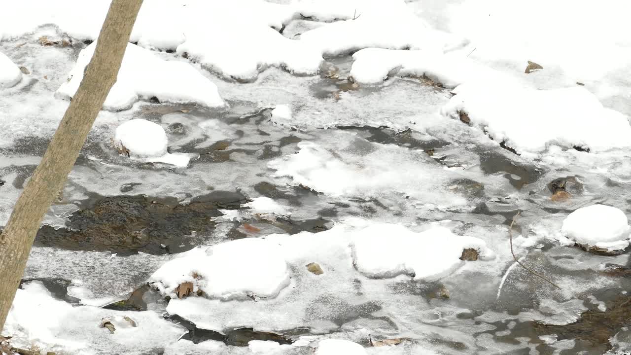 Ein kleiner eisiger Bach fließt im Winter durch eine verschneite Landschaft am Niagara-Schichtstufenland in Hamilton, Ontario, Kanada