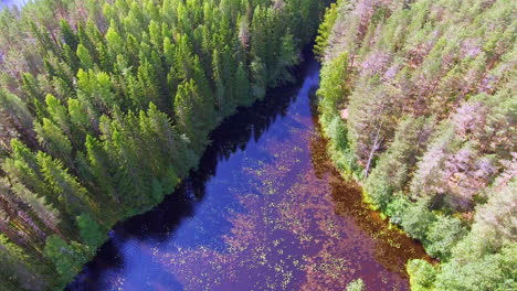 Vídeo-De-Retroceso-Aéreo-De-Un-Bosque-De-Coníferas,-Un-Pantano-Y-Un-Lago-Finlandeses