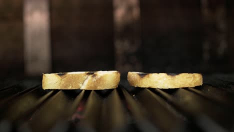 toasted bread slices on a grill