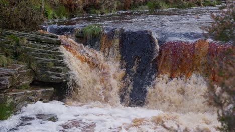 bosque sereno de otoño e invierno, un suave arroyo serpentea sobre las rocas, formando pequeñas cascadas