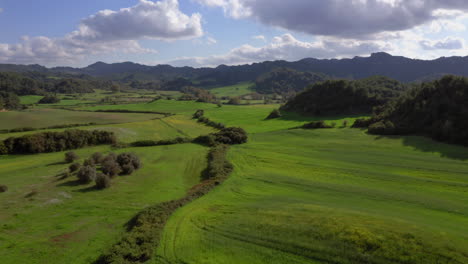 Aerial:-Flying-over-a-green-field