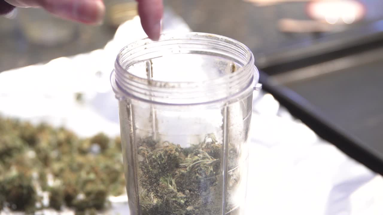 홈메이드 대마초, 살브 오일 - 말린 대마초 또는 마리화나 싹을 푸드 프로세서에 넣기 - 클로즈업 샷