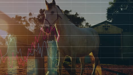 Animating financial data graph over horse in outdoor setting