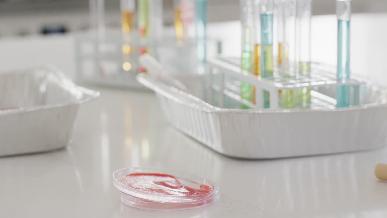 Video di piastra di Petri, provette e attrezzatura da laboratorio chimico su un bancone da cucina bianco, spazio per il testo
