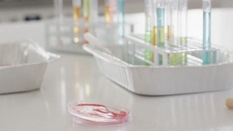 video de la placa de petri, tubos de ensayo y equipos de química en el mostrador blanco de la cocina, espacio de copia