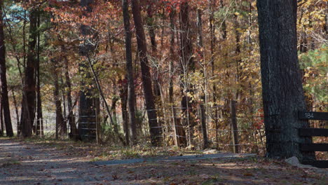 Country-road-with-fence-and-trees-in-autumn