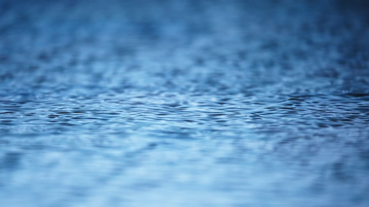 Ripples on a Wet Surface