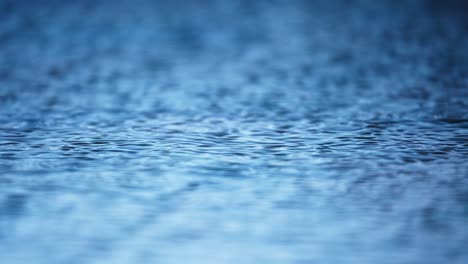 ripples on a wet surface