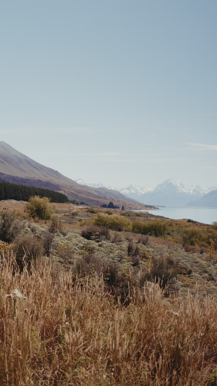 New Zealand Mountain Landscape with Lake View