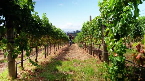 vista de gran ángulo del agricultor que sostiene una canasta de frutas y verduras