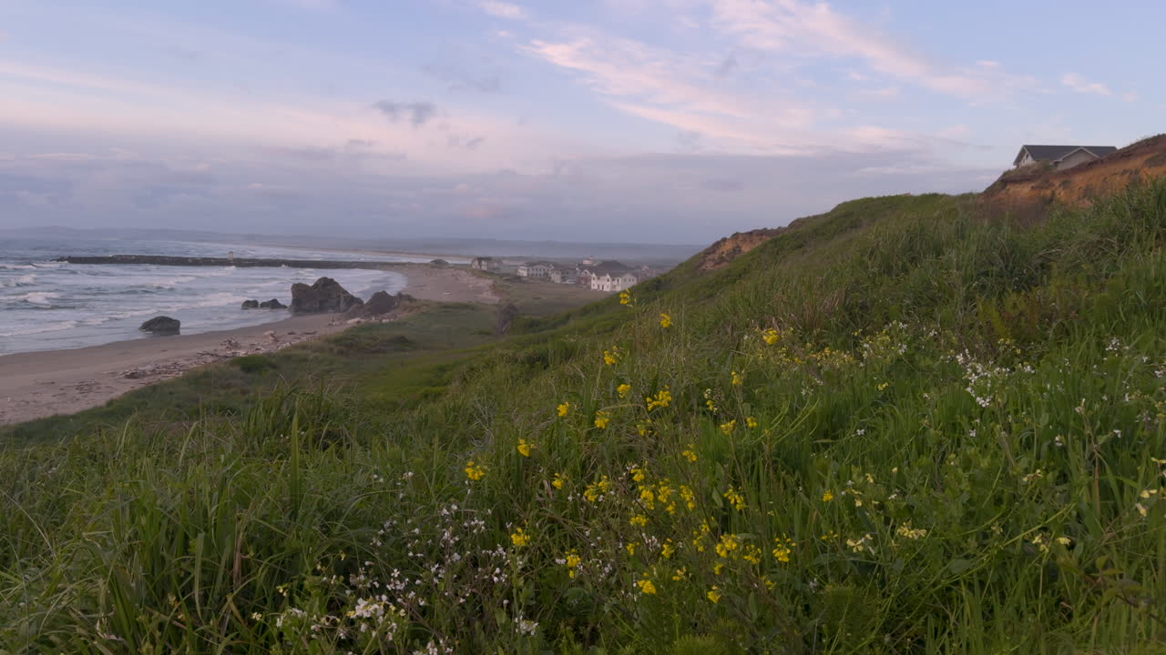 Sunset over Bandon Beach at the Oregon Coast, panning shot with wildflowers in the foreground.