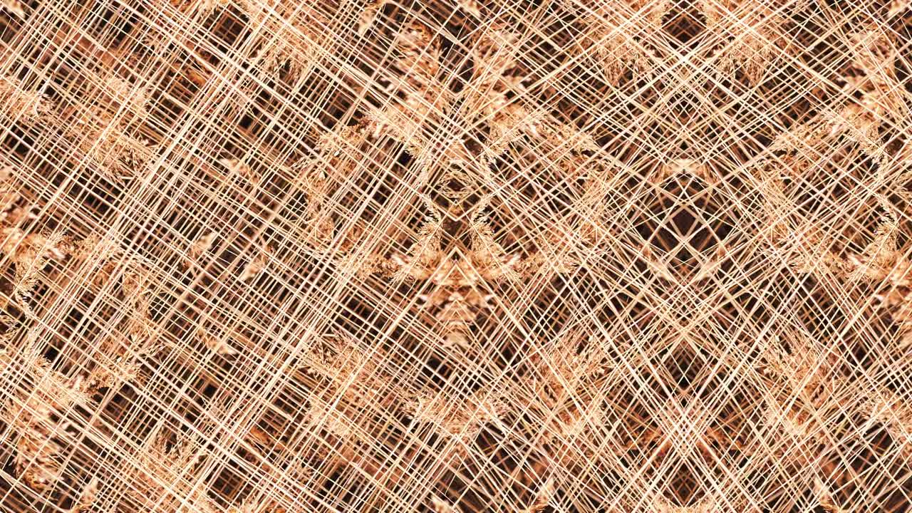 las cañas en simetría - en bucle