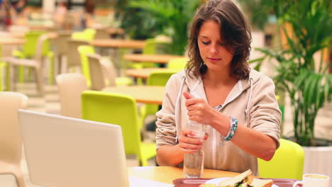 Estudiante-Alegre-Estudiando-Mientras-Almuerza-En-La-Cantina