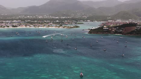 aerial view of a tropical harbor with many sailboats