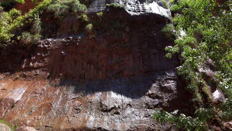 Tilting-up-shot-of-water-dripping-down-sandstone-rock-wall