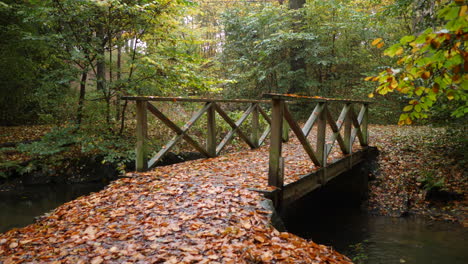 autumn bridge in the forest