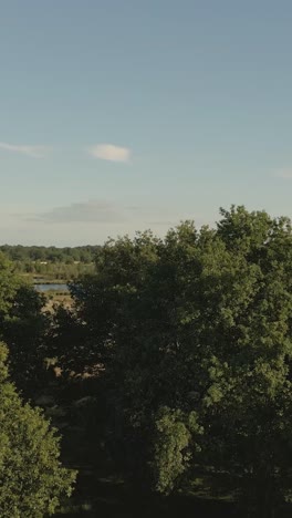 aerial view of a wetland landscape