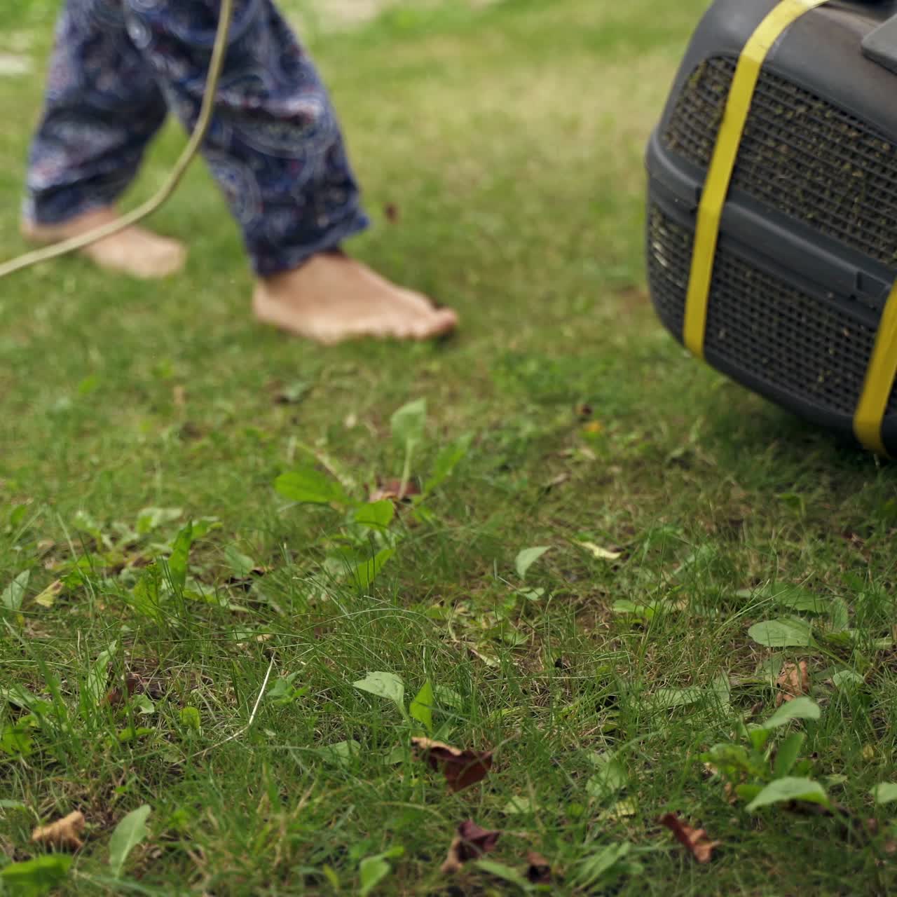 Woman cuts the lawn. Mowing lawns. Mower grass equipment. Mowing gardener cares about the garden in summer.