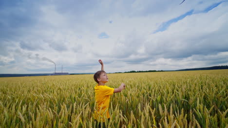 little boy runs on agricultural land. happy child is running on yellow field and launches toy plane in the air. games outdoors.