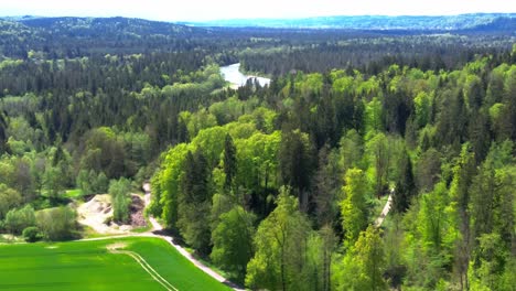 drone fly over forest and fields in summer 4k