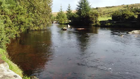 El-Río-East-Dart-Que-Fluye-A-Través-Del-Bosque-Bellever-En-Dartmoot