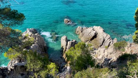 Playa-Virgen-De-Aguas-Transparentes-Color-Turquesa-Frondosa-Vegetacion-De-Pinos-Y-Rocas-Arena-Amarilla-Poca-Gente-Gerona-Cataluña-Mediterraneo-Vistas-Panoramicas-Tossa-De-Mar-Cala-Llevad?