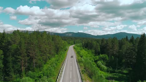 aerial view of a road through a forest and mountains