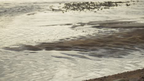 sandy shore next to the ocean water