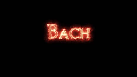 bach written with fire. loop