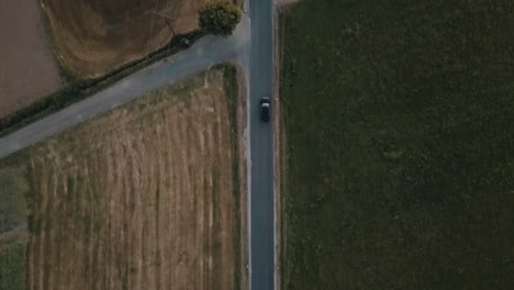 a tracking shot of a car driving through agricultural land