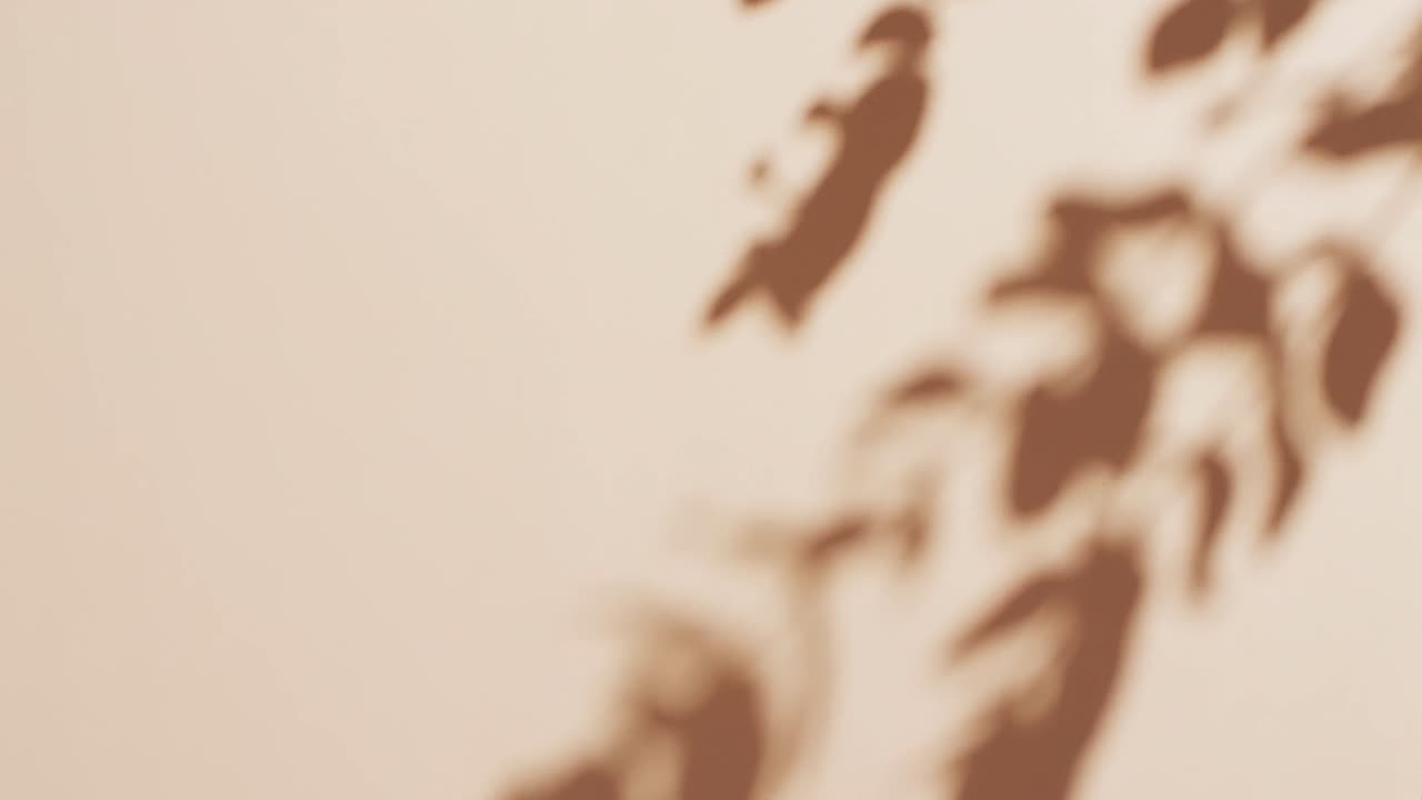 Animation of shadow of twigs with leaves moving with copy space over cream background