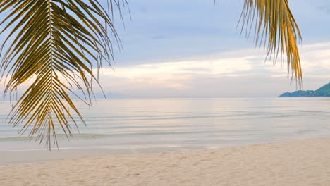 Leerer-Paradiesischer-Strand-Mit-Ruhigen-Wellen-Des-Ozeans-Und-Zweigen-Einer-Palme-Im-Vordergrund