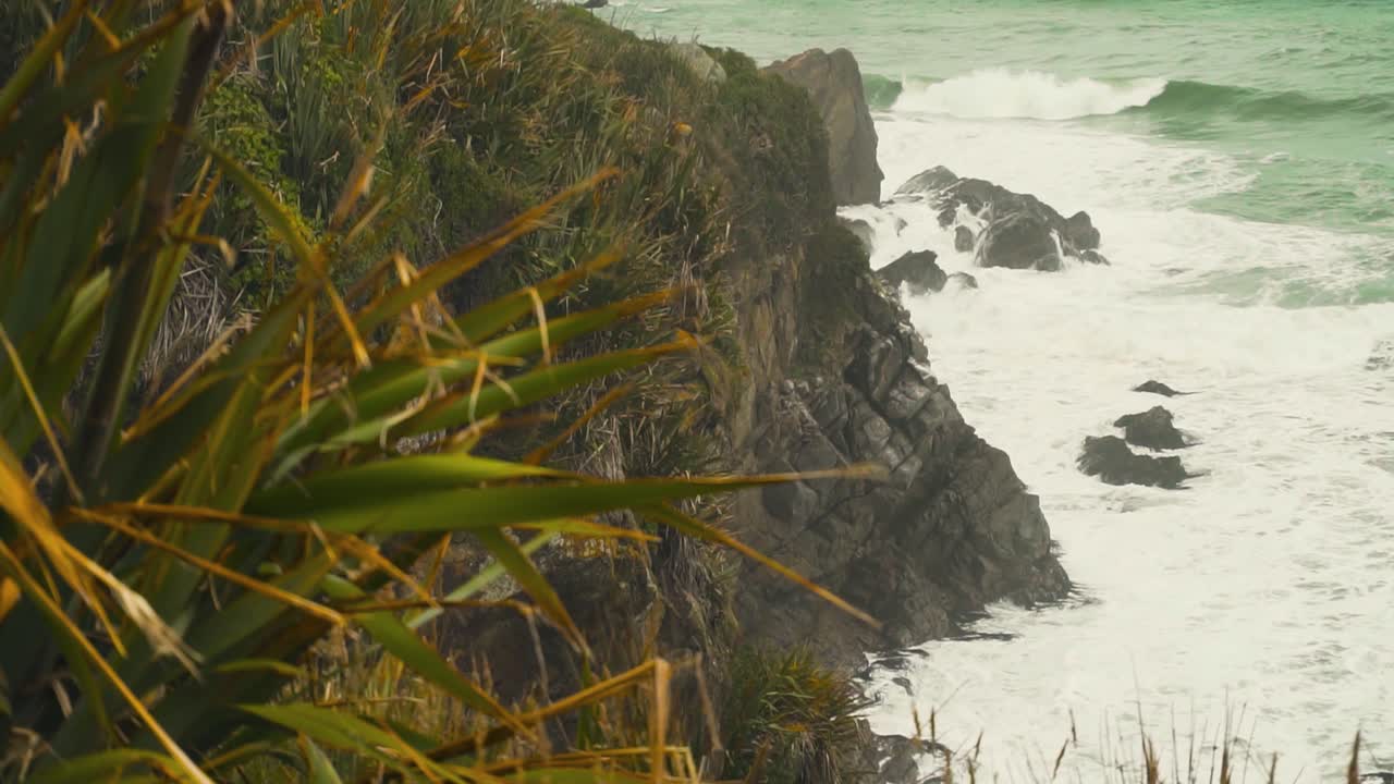 paseo marítimo costero en nueva zelanda