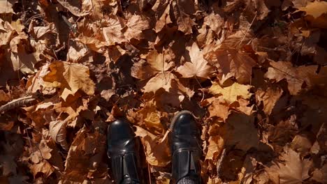 black boots in autumn leaves