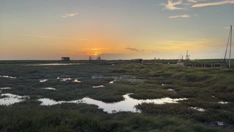 golden autumn sunset view of bog shallow marshlands lands with a small red marsh, tidal plants, coastal scene with golden sunset, ducks, foul, birds, shallow rippling water, and plant life