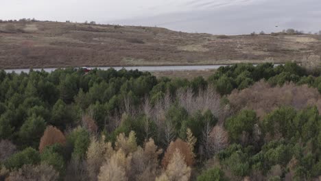 Aerial-of-forest-in-Iceland-revealing-calm-lake-Vifilsstadavatn