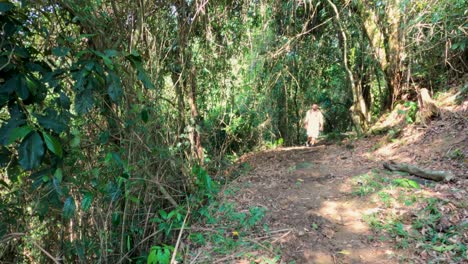 hombre caminando por un sendero en el bosque
