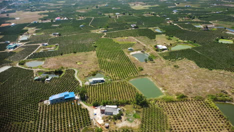 an aerial view of dragon fruit plantations in vietnam