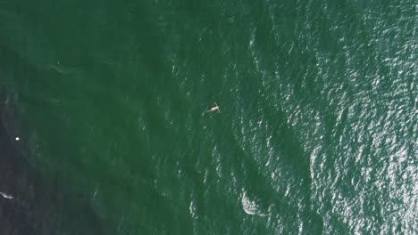 Aerial-rises-from-woman-swimming-alone-in-jade-green-ocean-water