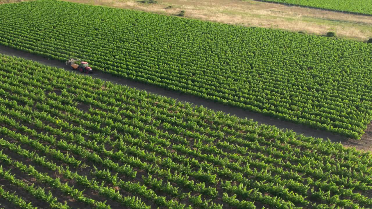 vista aérea de tractores rociando pesticidas en uvas en viñedos, campo de francia, disparo de drones