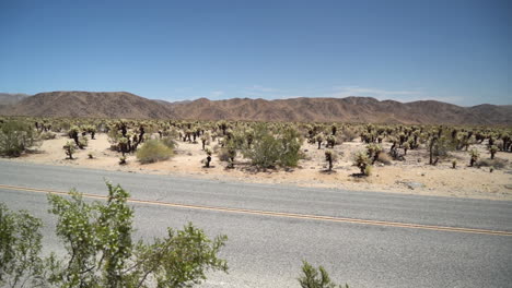 Empty-Desert-Road-in-Joshua-Tree-National-Park,-California-USA,-Panorama