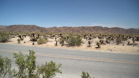 carretera vacía del desierto en el parque nacional joshua tree, california, ee.uu., panorama