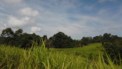 Landscape,-Bluesky,-Moving-Clouds,-People-Nature-Walking-at-a-Distance