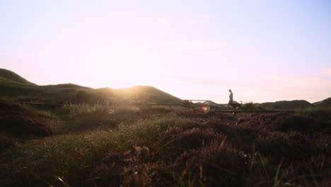 wide shot of a woman with her dog in a national park while sunset