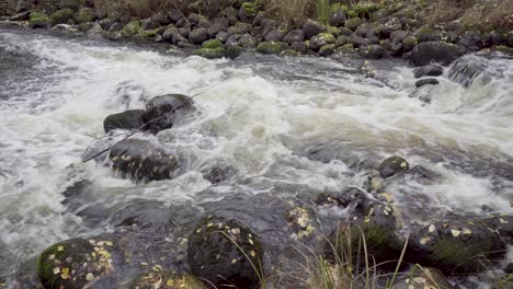 Small-stream-in-northern-Sweden