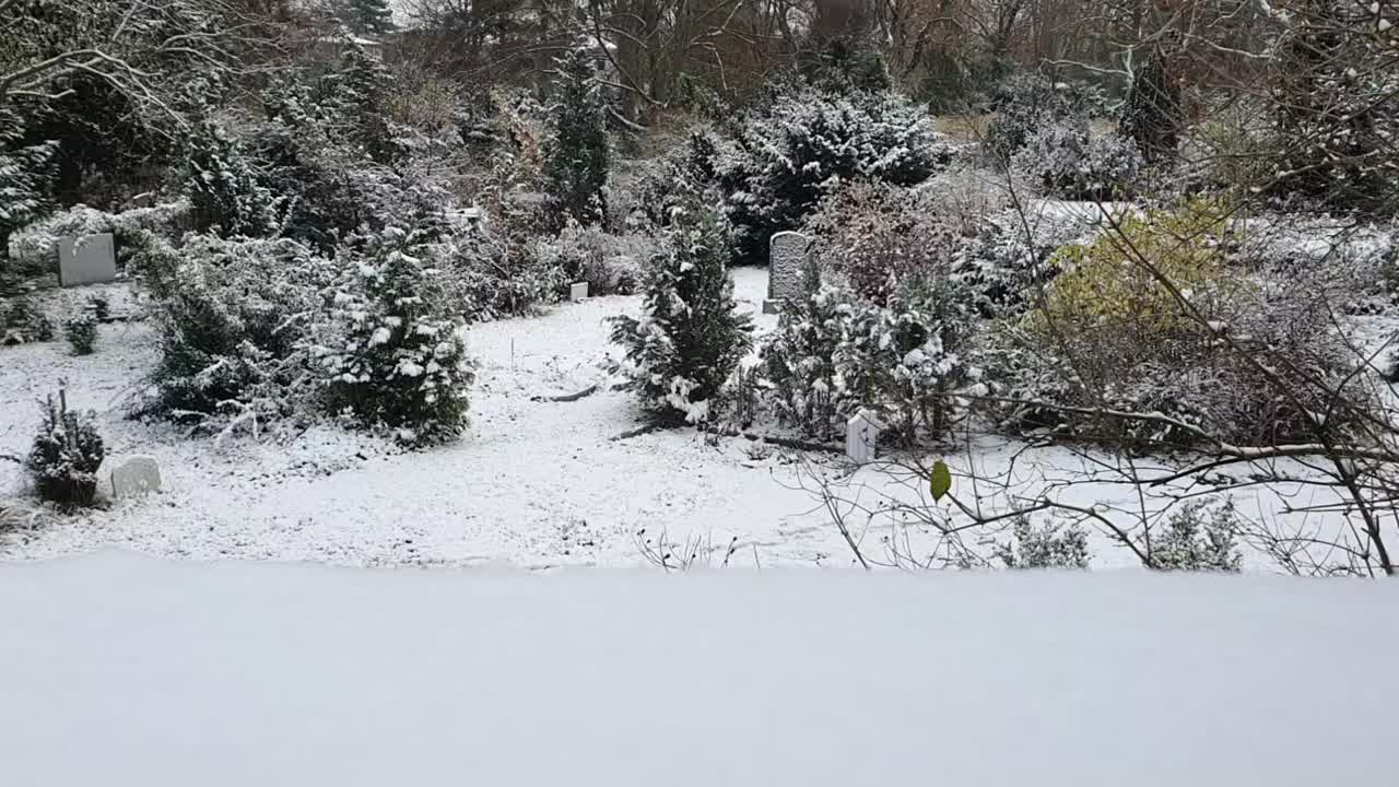 겨울의 베를린에서 눈으로  ⁇ 인 묘지에서 오른쪽으로 판 hd 30 fps 6 초
