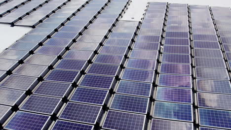 Aerial-footage-of-a-large-solar-array