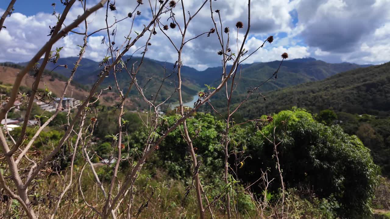 Panoramica scenografica verso destra della vegetazione tropicale e dei cespugli secchi che si affacciano sul bacino idrico La Mariposa con uno sfondo montuoso vicino a Caracas, Venezuela